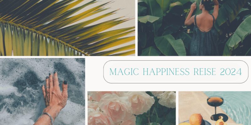 Magic Happiness 2024 Foto geringe Q 2 (1)